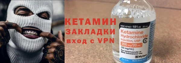 сатива Балахна