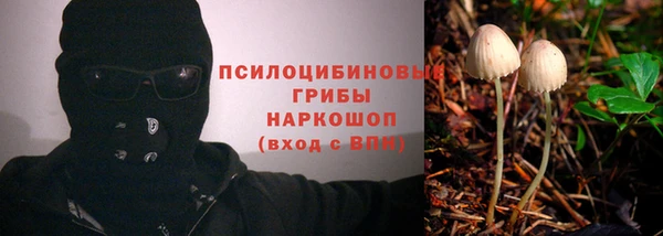 сатива Балахна