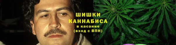 сатива Балахна