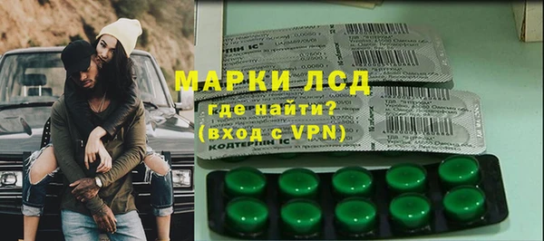 сатива Балахна