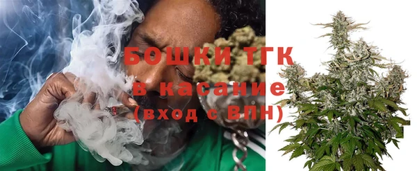 сатива Балахна